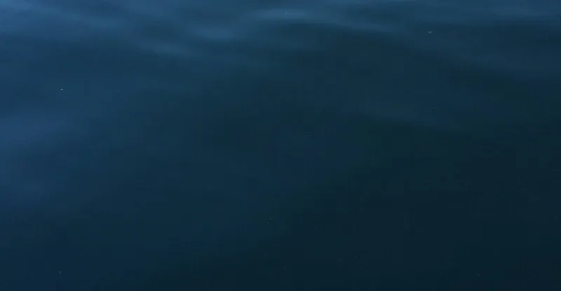 Idée de decoration peinture pour couloir en bleu nuit avec des touches dorées pour une entrée luxueuse